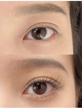 ビーアンドジー(B&G)/3Dボリューム100束