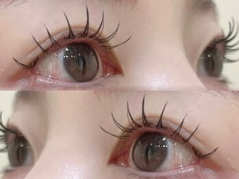 ロコラッシュ 新宿南口店の写真/【まつ毛パーマ上＋トリートメント付☆¥4800】ナチュラル派の方には嬉しいトリートメント付きまつパが◎