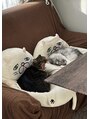 アドニス 表参道(Adonis) 猫が大好きです。いつも実家の猫の写真を見て癒されています!