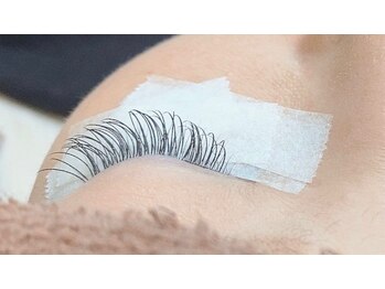 ジョリー(Jolie)/