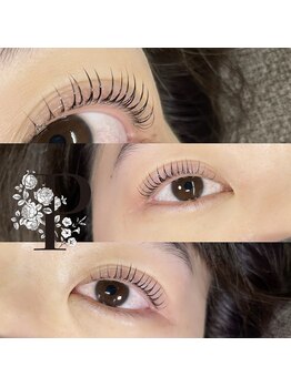 ノルジャ(NOLZA)/80°立ち上げ技法パリジェンヌ