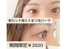 リタ アイラッシュ(rita eyelash)