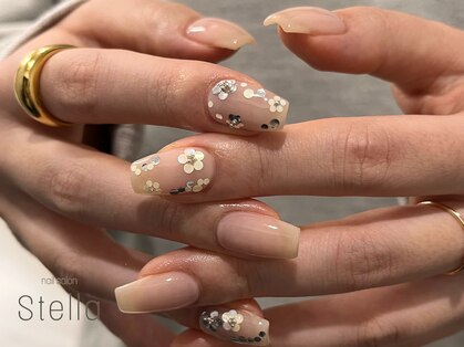 ステラ(stella)の写真