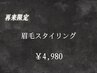【再来】眉毛スタイリング/アイブロウ 30分 ¥4980