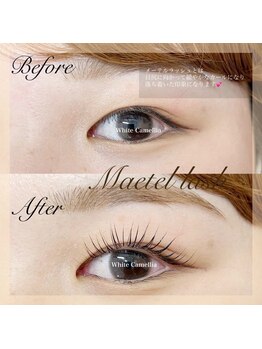 ホワイトカメリア 難波心斎橋店(WhiteCamellia)/まつ毛パーマ/マツエクサロン