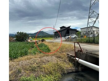 ベイビーワクシング(baby waxing)/2【道案内】