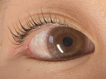 リジュ(Reju)/まつげパーマ・モンテラッシュ