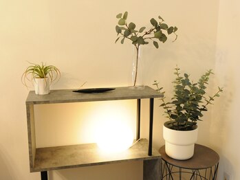 フラップ(FULL UP)