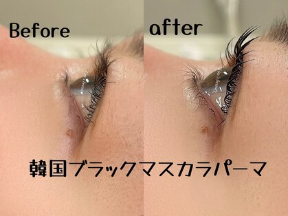 グリ(gris)の写真