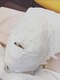 アキュピタル(acupital)の写真/【夏の紫外線対策に★】お肌の保湿、鎮静、引き締め効果◎海藻モデリングパック付きメニューが限定登場！