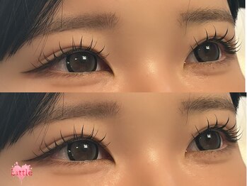 リトル(Little)/フラットラッシュ120本