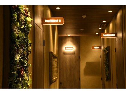 オリーブスパ 銀座店(OLIVE SPA)の写真
