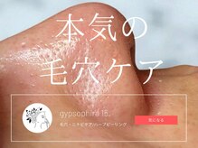 ジプソフィラフィフティドット(gypsophira15.)