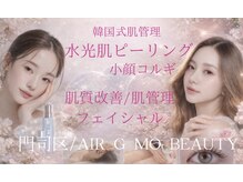 エアージーモ(Air Gmo)