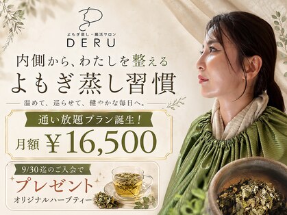 デル(DERU)の写真