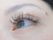 アイラッシュサロン フェリス(Luxury)/Dカール★上付け放題