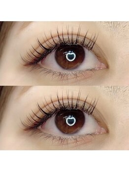 ヴァーリー(valley.)/フラットラッシュ120本