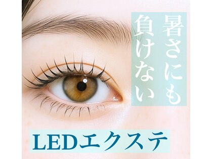 マーヴェラス(Marvelous)の写真