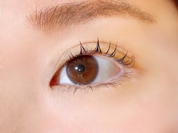 ハニーアンドミエル 京都駅前店(Honey&Miel)/まつ毛パーマ