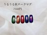秋色チークマグネット3色まで組み合わせok