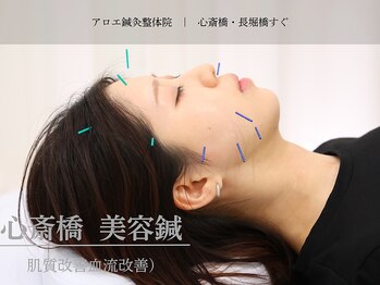アロエ鍼灸整体院/美容鍼