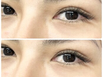 ティピ(tipi)/ダブルフラット100束