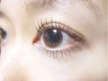 ヴィヴラン(viv-run)/人気のまつ毛パーマ☆