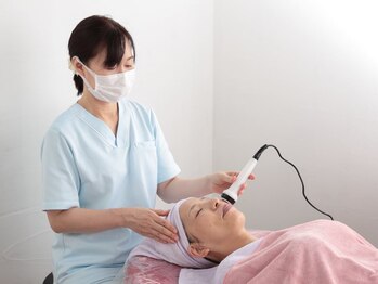 マオ(MAO)/優秀成分の導入