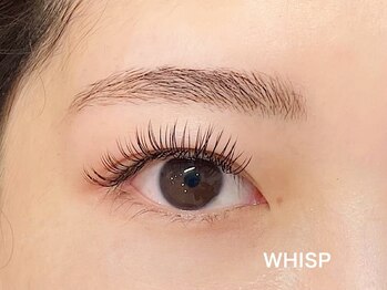 ウィスプ(WHISP)/フラットマットラッシュ140本