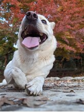 鍼灸Labo アルシア/ひなた1