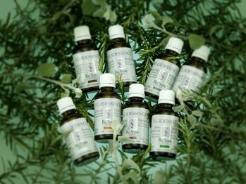 サロン ド ノア(Salon du noa.)/セレブ愛用【ポールシェリー 】