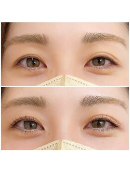 ザビー(THE B)/パリジェンヌラッシュ 