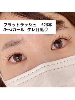 シェノン(Chainon)/フラットラッシュ120本