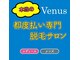 ヴィーナス(Venus)の写真