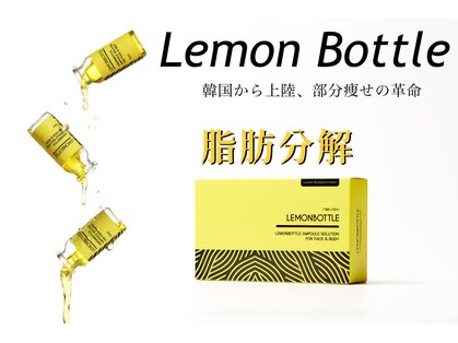 ディア(Deer)の写真