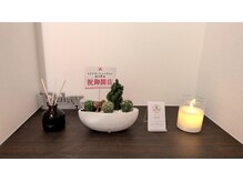 仙人掌の雰囲気（玄関を開けたら可愛いサボテンたちがお出迎え！）