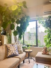 ポポキマッサージ 麻布十番(POPOKI MASSAGE)/グリーンの癒し空間