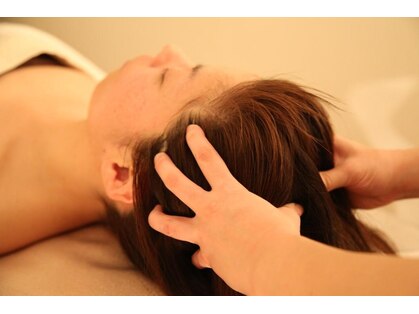 プチリス(petit lys)の写真