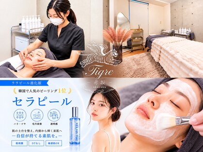 ティーグレ 赤坂(Tigre)の写真