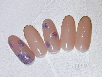 ステラヴィエ(Stellavie)/定額プランC