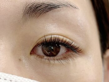 シェノン(Chainon)/バインドロック120束/マツエク