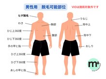 エムプラス 東戸塚(M+)/男性用★施術可能部位