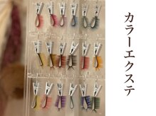 レゴリス ルナ 天神大名(REGOLITH LUNA)/カラーエクステ　２２色