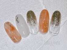 ステラヴィエ(Stellavie)/定額プランB