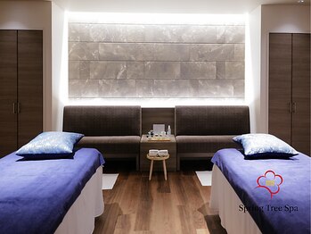 スプリングツリースパ スタジアムシティホテル長崎店(Spring Tree Spa)/【ペアルーム】人気のお部屋です