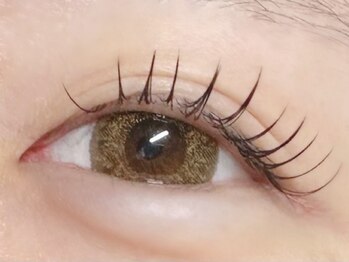 エミーアイラッシュ 大通店(Emii Eyelash)/フラットラッシュ120本/Cカール