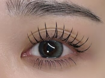 シェリアン(Cherien)/フラットラッシュ120