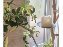 エオック(EOQC)の雰囲気(緑のある空間を…。【爪の美変化はフォトギャラリーに】)