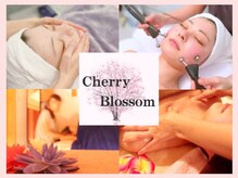 チェリーブロッサム(Cherry Blossom)