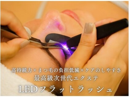 アレン プリュス(allen plus)の写真